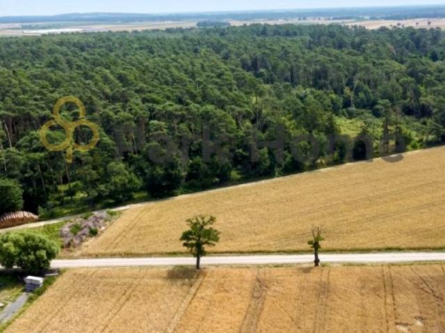 Grunt na sprzedaż w Zamysłowo, Wielkopolskie