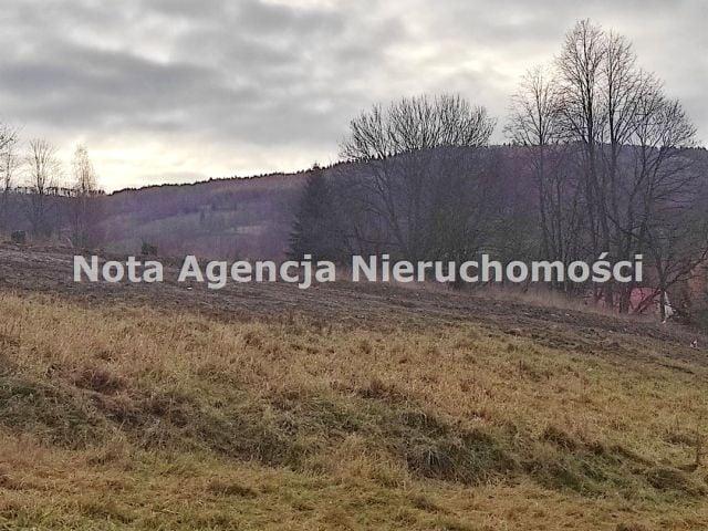 Grunt na sprzedaż w Jugowice, Dolnośląskie