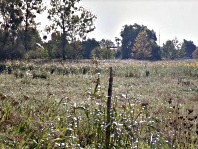 Grunt na sprzedaż w Koninko, Wielkopolskie