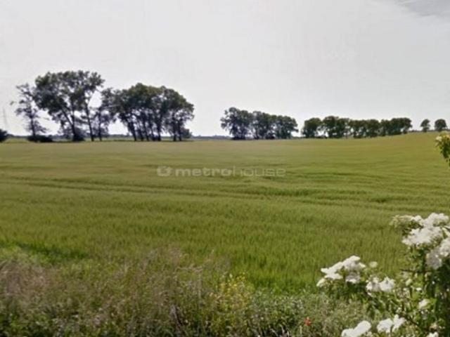 Grunt na sprzedaż w Borkowice, Wielkopolskie