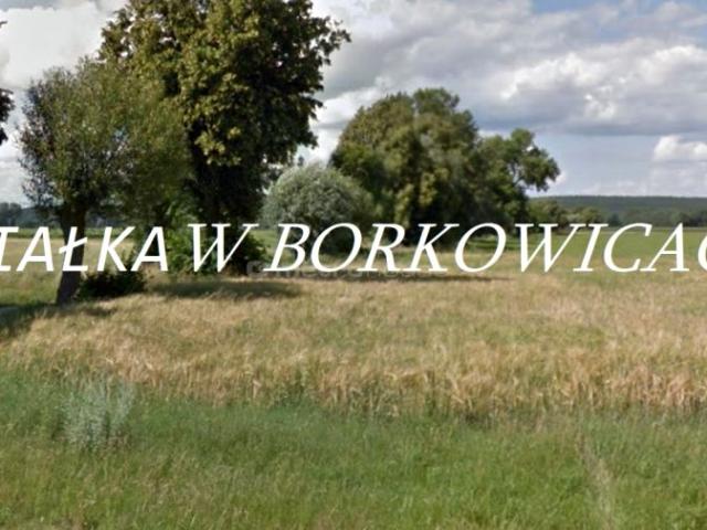 Grunt na sprzedaż w Borkowice, Wielkopolskie