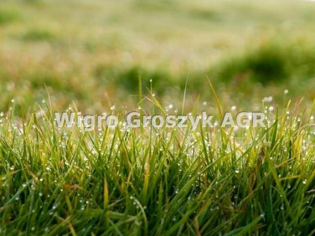 Grunt na sprzedaż w Kiełpin Poduchowny, Mazowieckie