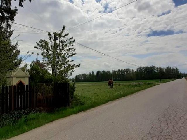 Grunt na sprzedaż w Sokołów Podlaski, Mazowieckie