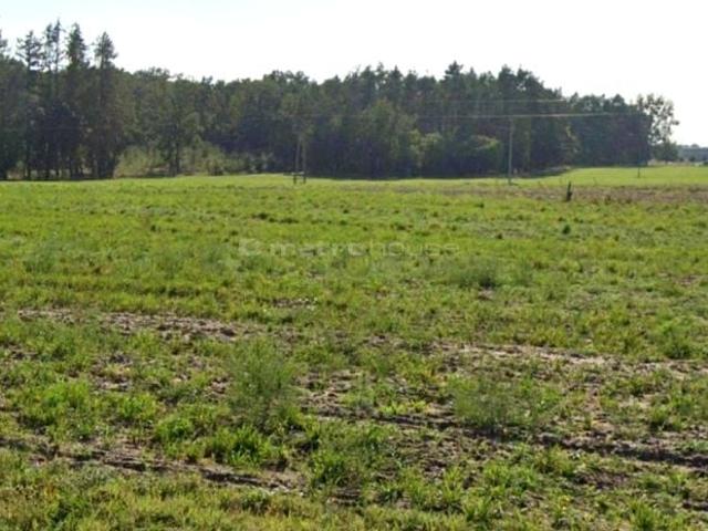 Grunt na sprzedaż w Złotkowo, Wielkopolskie