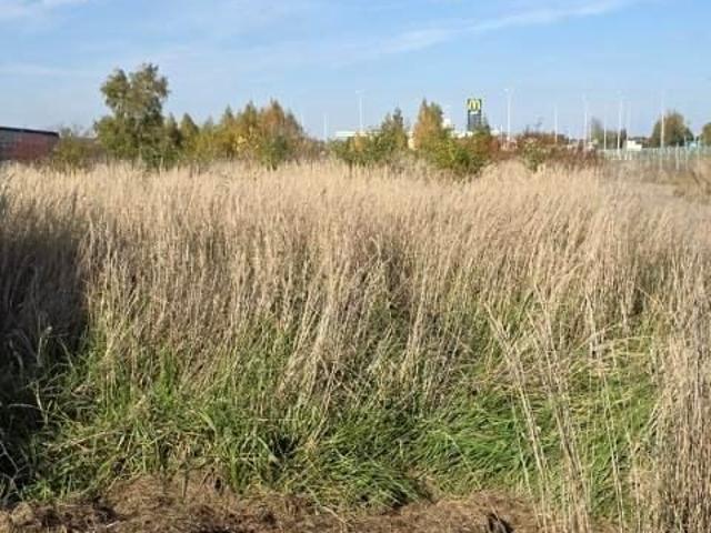 Grunt na sprzedaż w Dąbrowa Górnicza, Śląskie