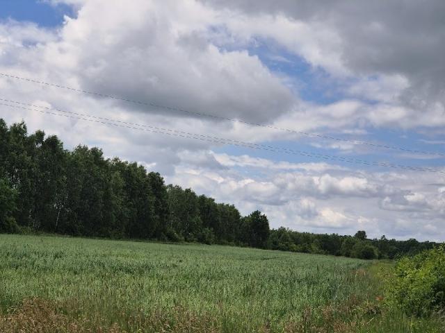 Grunt na sprzedaż w Kłomnice, Śląskie