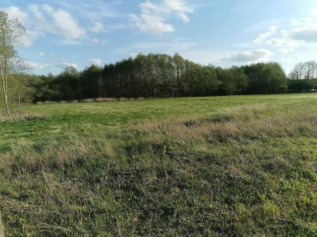 Grunt na sprzedaż w Gniezno, Wielkopolskie