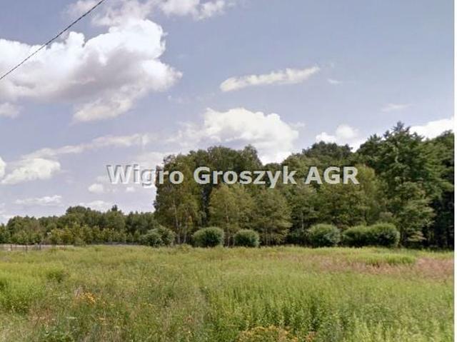 Grunt na sprzedaż w Nowe Polesie, Mazowieckie