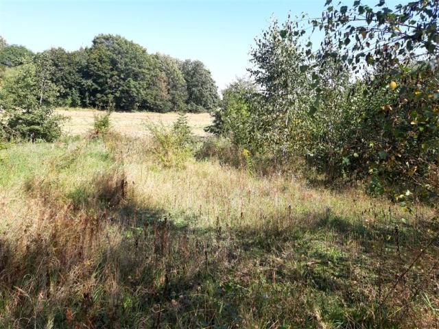 Grunt na sprzedaż w Stare Bogaczowice, Dolnośląskie