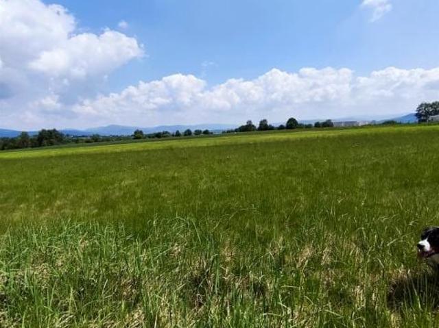 Grunt na sprzedaż w Lipowa, Śląskie