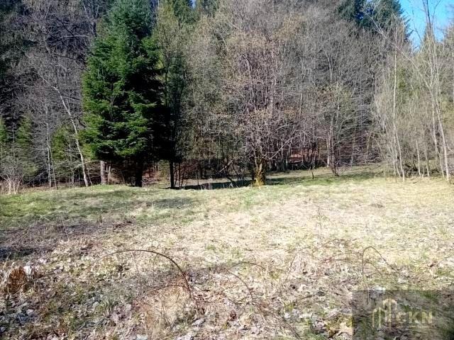 Grunt na sprzedaż w Zawoja, Małopolskie