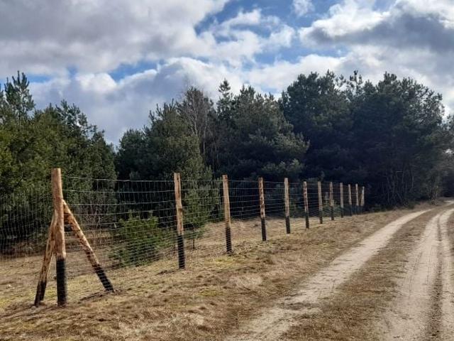 Grunt na sprzedaż w Wymysłowo, Wielkopolskie