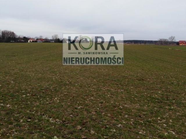 Grunt na sprzedaż w Kalina, Wielkopolskie