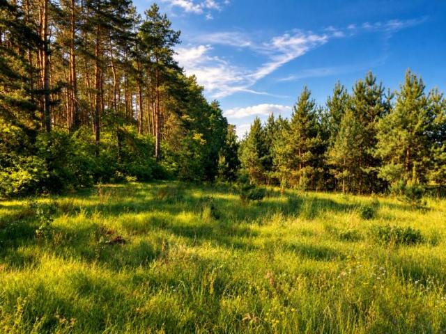 Grunt na sprzedaż w Dąbrówka Kościelna, powiat gnieźnieński