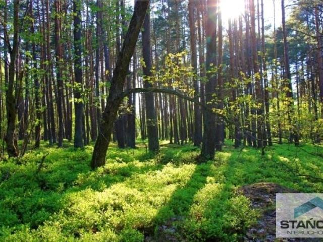 Grunt na sprzedaż w Dziwnów, Zachodniopomorskie