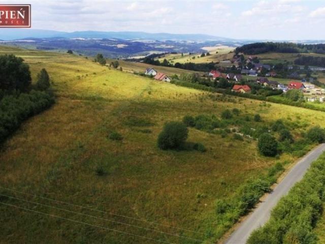Grunt na sprzedaż w Jeżów Sudecki, Dolnośląskie