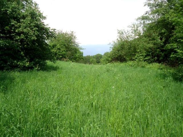 Grunt na sprzedaż w Świdnik, Lubelskie
