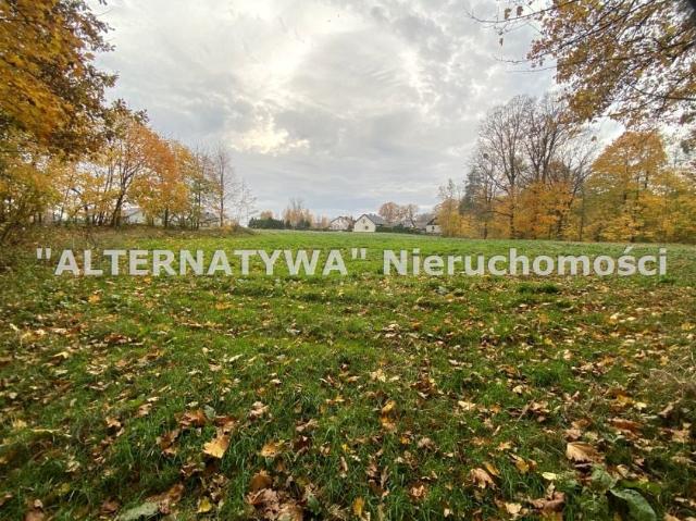 Grunt na sprzedaż w Mizerów, Śląskie