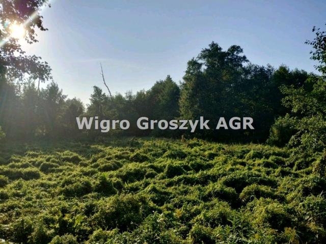 Grunt na sprzedaż w Leoncin, powiat nowodworski