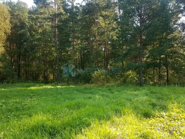 Grunt na sprzedaż w Ludwinów, Mazowieckie