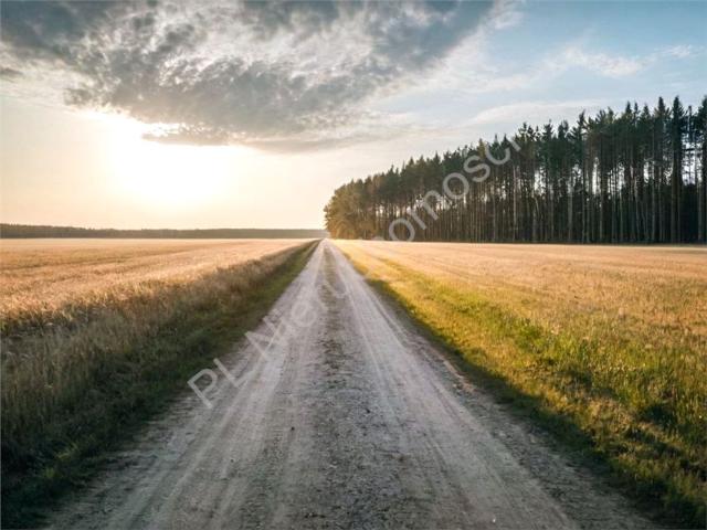 Grunt na sprzedaż w Rusiec, Mazowieckie