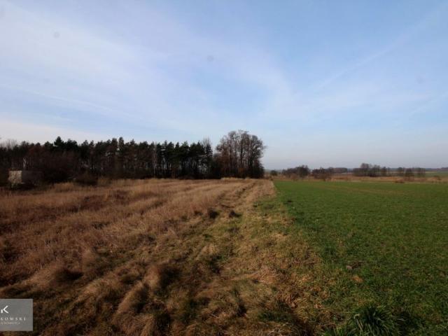 Grunt na sprzedaż w Dziadowa Kłoda, Dolnośląskie
