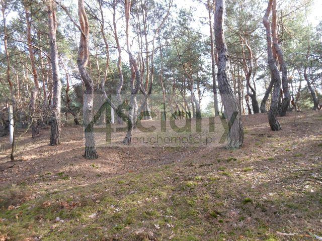 Grunt na sprzedaż w Legionowo, Mazowieckie