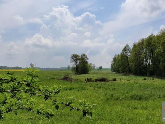 Grunt na sprzedaż w Gryfice, Zachodniopomorskie
