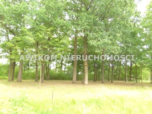 Grunt na sprzedaż w Rusiec, Mazowieckie