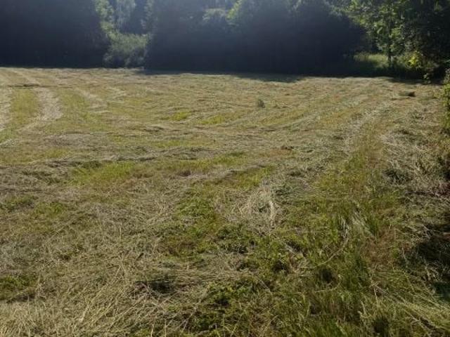 Grunt na sprzedaż w Wola Filipowska, Małopolskie
