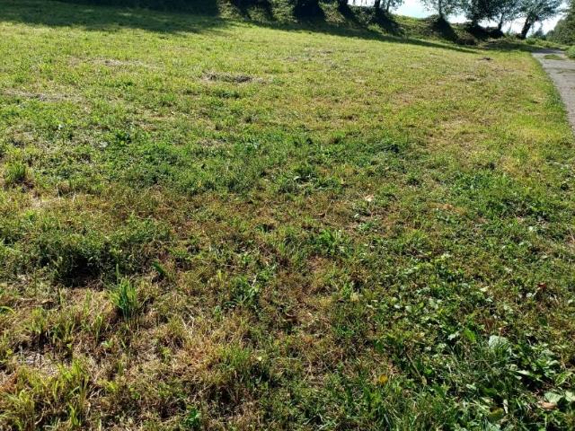 Grunt na sprzedaż w Tuchów, Małopolskie