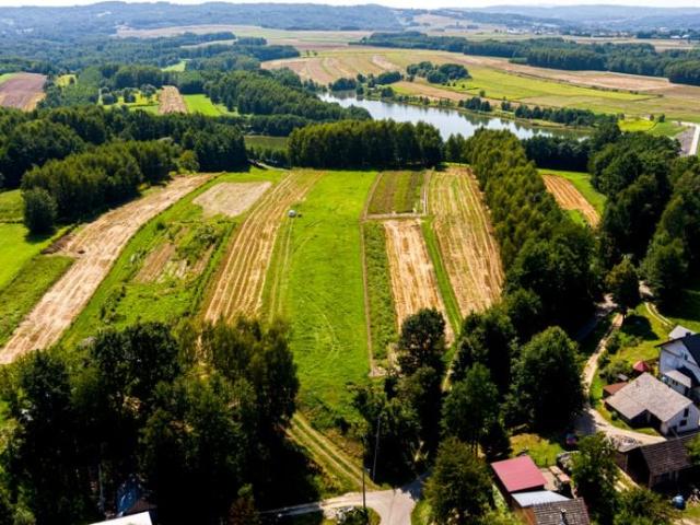 Grunt na sprzedaż w Skrzyszów, Małopolskie
