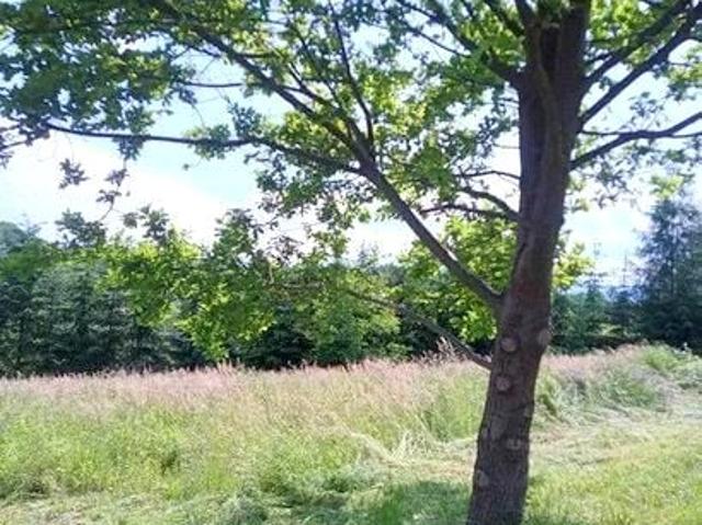 Grunt na sprzedaż w Nowy Sącz, Małopolskie