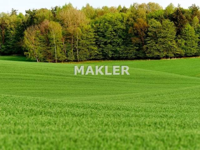 Grunt na sprzedaż w Osielsko, Kujawsko-pomorskie