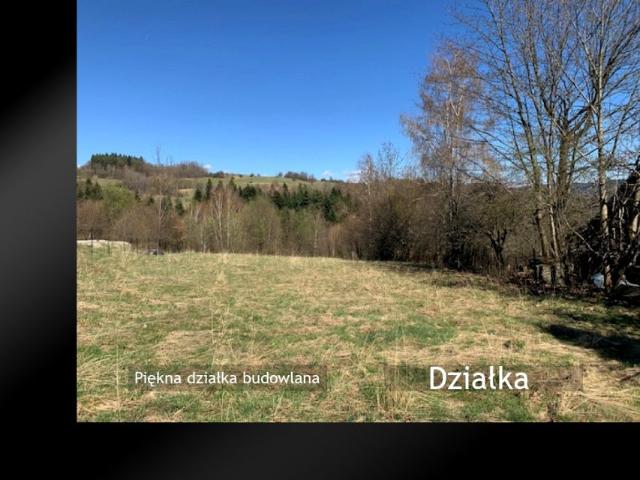 Grunt na sprzedaż w Żywiec, Śląskie