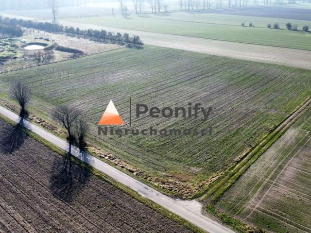 Grunt na sprzedaż w Gryfice, Zachodniopomorskie