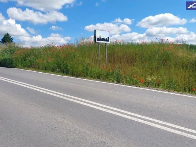 Grunt na sprzedaż w Opatów, Świętokrzyskie