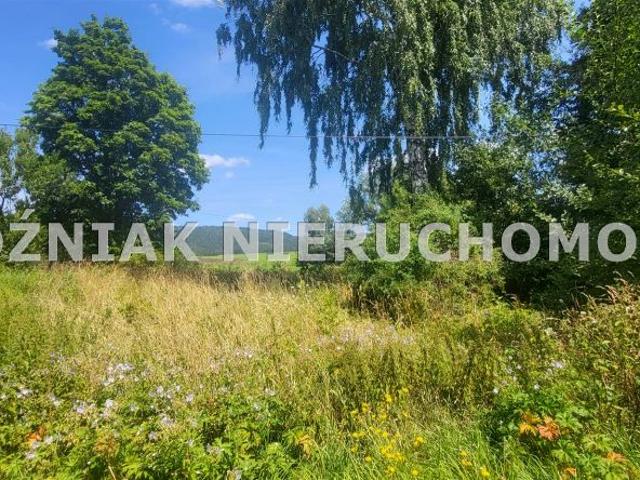 Grunt na sprzedaż w Mieroszów, Dolnośląskie
