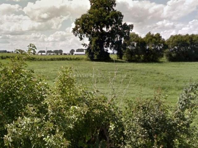 Grunt na sprzedaż w Borkowice, Wielkopolskie