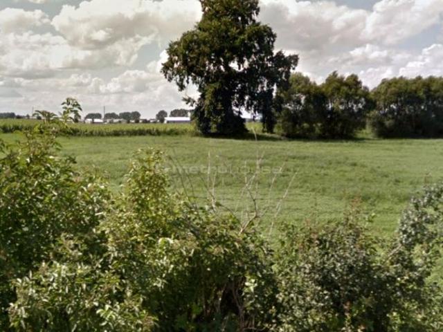 Grunt na sprzedaż w Borkowice, Wielkopolskie