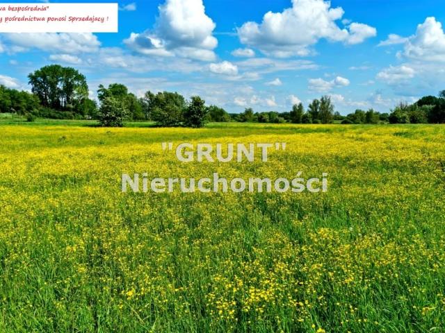 Grunt na sprzedaż w Biernatowo, Wielkopolskie