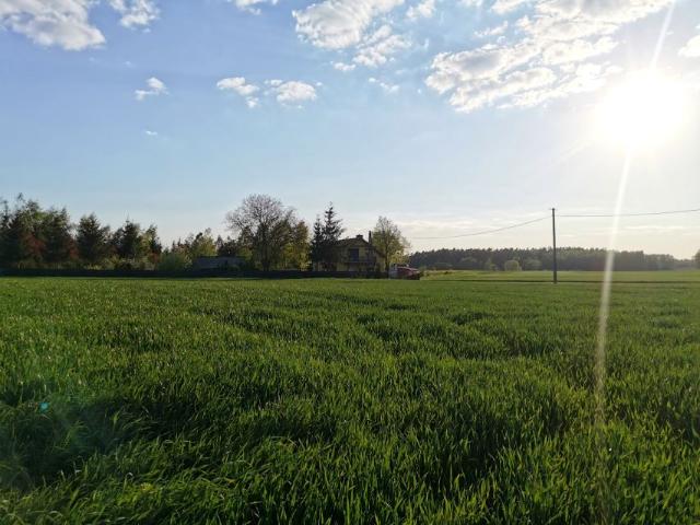 Grunt na sprzedaż w Rogowo, Kujawsko-pomorskie