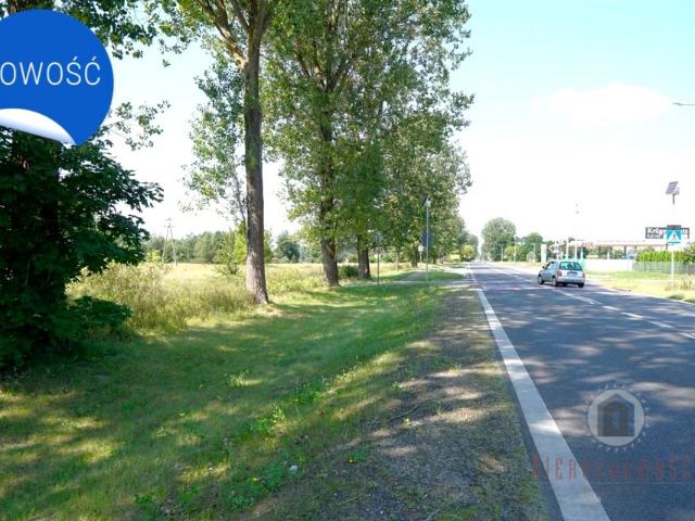 Grunt na sprzedaż w Deszczno, Lubuskie