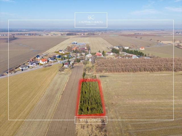 Grunt na sprzedaż w Łowęcin, Wielkopolskie