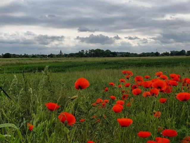 Grunt na sprzedaż w Trzebiatów, Zachodniopomorskie