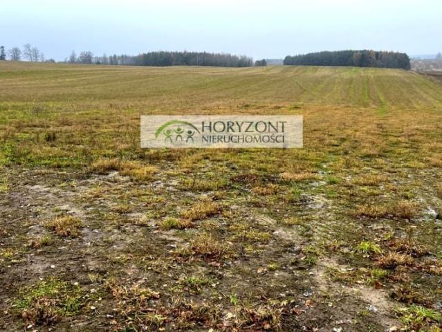 Grunt na sprzedaż w Borcz, Pomorskie