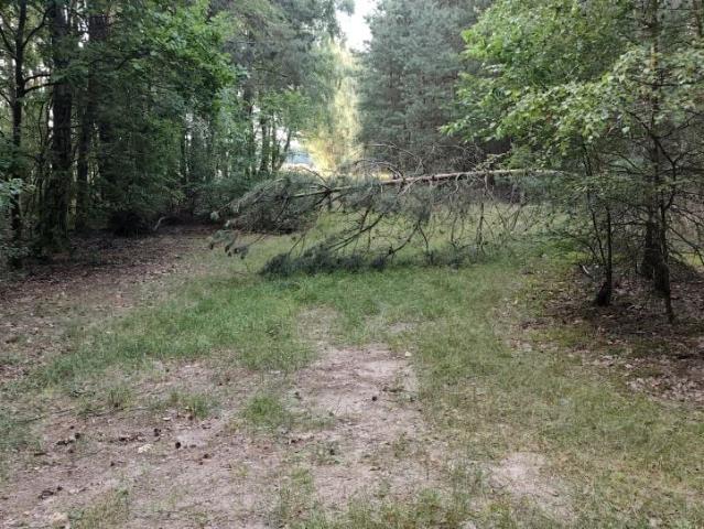 Grunt na sprzedaż w Nowe Miasto, powiat płoński
