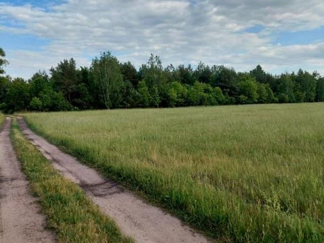 Grunt na sprzedaż w Sokule, Mazowieckie