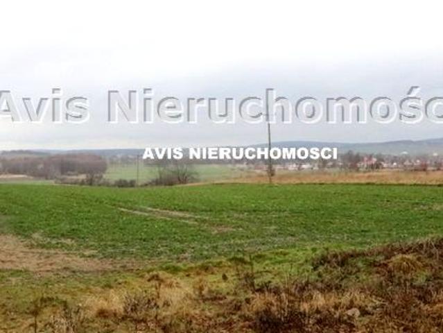 Grunt na sprzedaż w Strzegom, Dolnośląskie