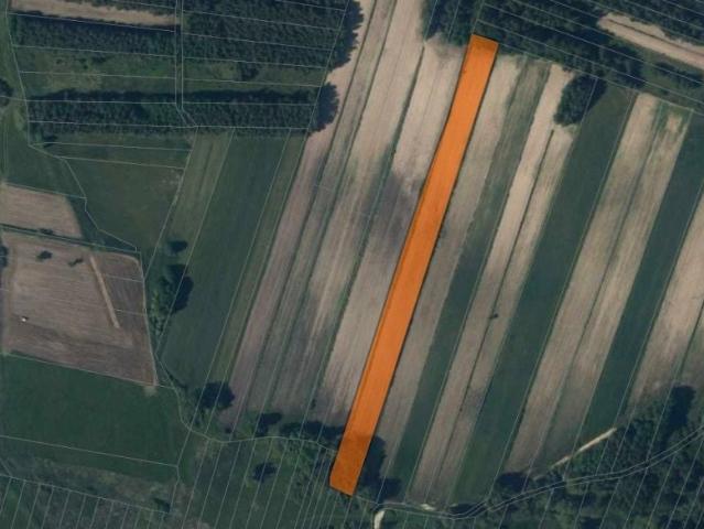 Grunt na sprzedaż w Bejsce, Świętokrzyskie